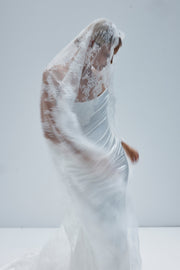 Celeste Veil